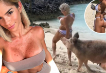 Instagram influencericu na poznatoj plaži na Bahamima ujela svinja