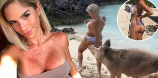 Instagram influencericu na poznatoj plaži na Bahamima ujela svinja