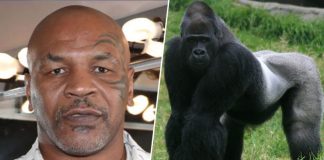 Mike Tyson ponudio čuvaru u zološkom 10 000 dolara da se bori sa gorilom