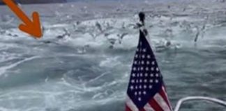 Bili su na brodu kad su čuli neku ogromnu buku ispod, pogledajte šta je izletilo