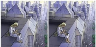 TEST INTELIGENCIJE: SAMO DVA POSTO LJUDI MOŽE PRONAĆI VIŠE OD TRI RAZLIKE NA OVOJ SLICI