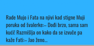 VIC DANA: Rade Fata i Mujo na njivi…