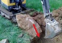 Bagerom su kopali rupu, a onda se začuo urlik iz zemlje i nešto je nasrnulo prema njima(VIDEO)