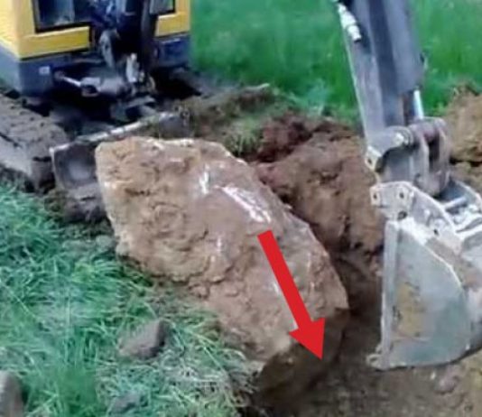 Bagerom su kopali rupu, a onda se začuo urlik iz zemlje i nešto je nasrnulo prema njima(VIDEO)