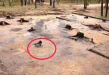 Nedavno otkrivena najmračnija Hitlerova tajna, ovo je do sad najjezivije