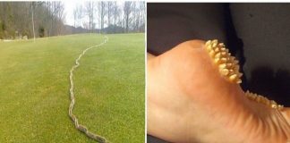 Rijetko mozete da vidite ovako bizarne fotografije na internetu, broj 10 ce vas zaprepastiti