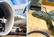 Ovih 13 fotografija će vas u isto vrijeme zadiviti i ostaviti bez teksta