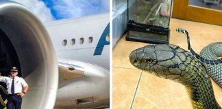 Ovih 13 fotografija će vas u isto vrijeme zadiviti i ostaviti bez teksta