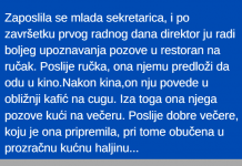 VIC DANA: Zaposlila se mlada sekretarica…