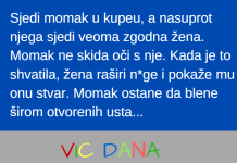 VIC DANA: Momak i zena u kupeu