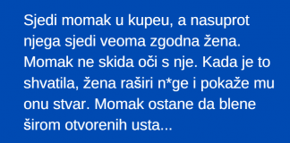 VIC DANA: Momak i zena u kupeu