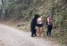 Turisti su pravili selfie u šumi, a onda im je se medvjed prišunjao iza leđa (VIDEO)