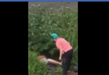 Uzivali su u stravstvenom zagrljaju u prirodi a onda je naisla tetka i nastao je haos (VIDEO)