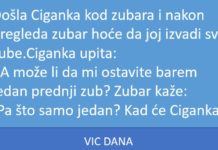 VIC DANA: Ciganka kod zubara