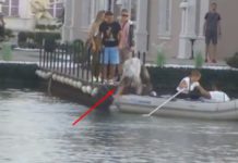 Kristijan Golubović u Zadruzi krenuo da uđe u čamac pa se razbio i slomio nos (VIDEO)