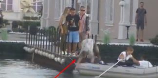 Kristijan Golubović u Zadruzi krenuo da uđe u čamac pa se razbio i slomio nos (VIDEO)