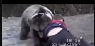 Ovako je Khabib Nurmagomedov počeo, kao mali hrvao se s medvjedom (VIDEO)