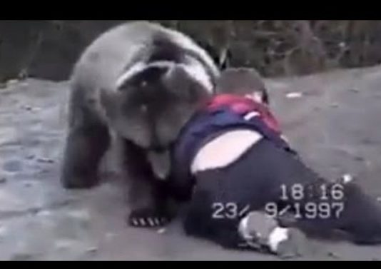 Ovako je Khabib Nurmagomedov počeo, kao mali hrvao se s medvjedom (VIDEO)