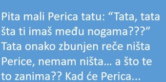 VIC DANA: Pita mali Perica Tatu